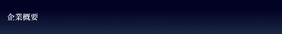 企業概要